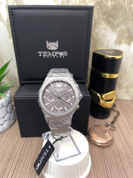 RELOJ TEMPUS TODO PLATEADO