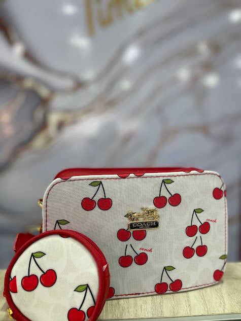 BOLSO DE MANO BICOLOR COACH